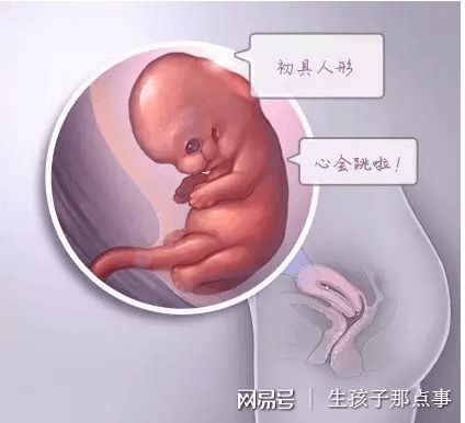 王景华院长